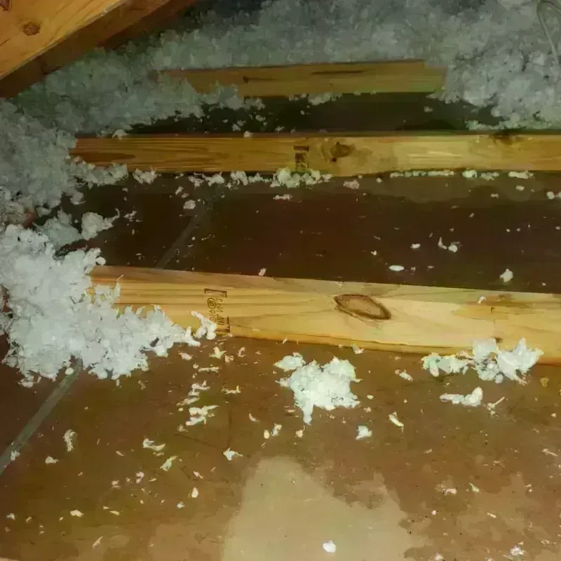 Attic Water Damage in Dresher, PA